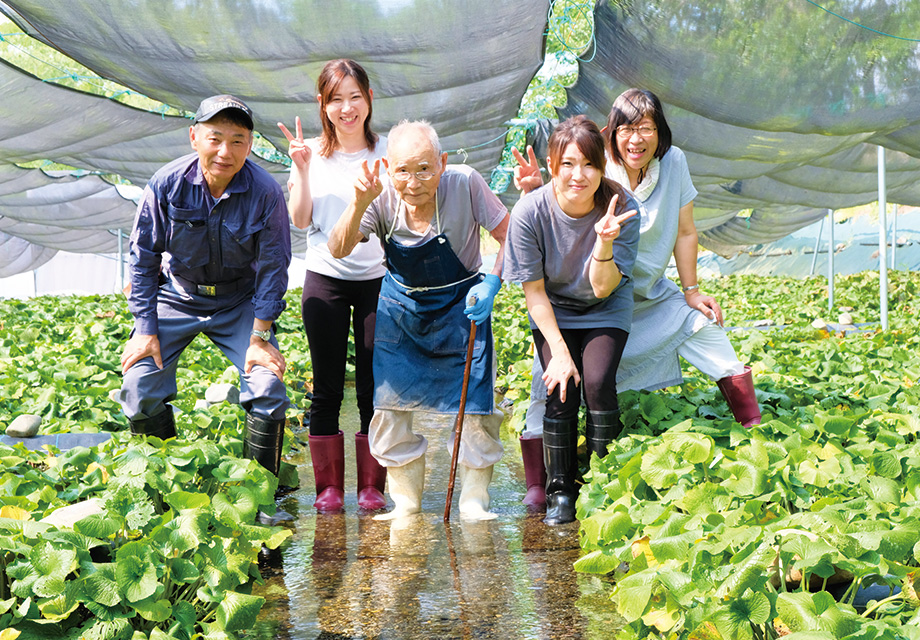 石田わさび農園 安曇野 美味礼讃